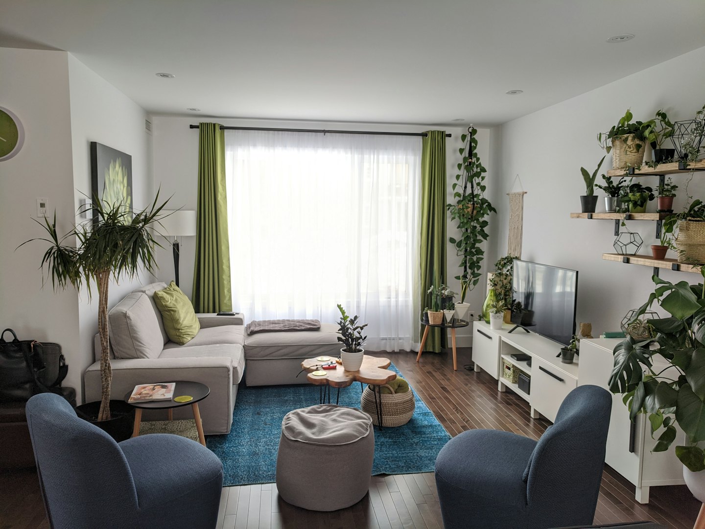 Modern living room with grey sofa and blue armchairs.