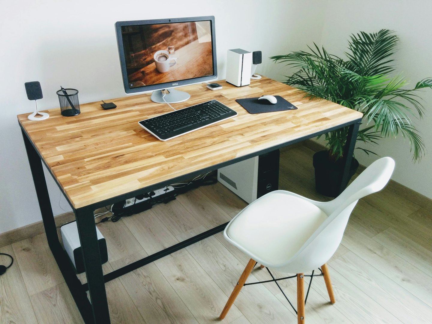 Modern home office with a computer and plant.